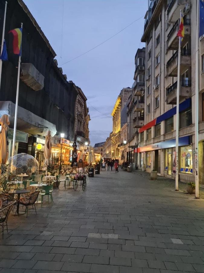 부쿠레슈티 Color Ap Calea Victoriei 12C 아파트 외부 사진